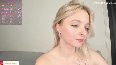 dreamsstream