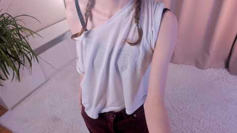 petulacollins