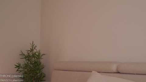 ms_seductive @ chaturbate on 20250225