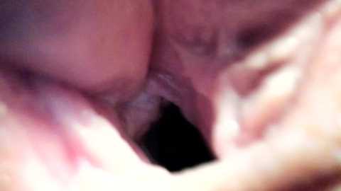 courtney_luv @ chaturbate on 20250228