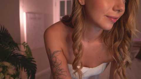 tokyo_n @ chaturbate on 20250228