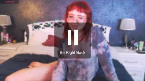 pioner_12
