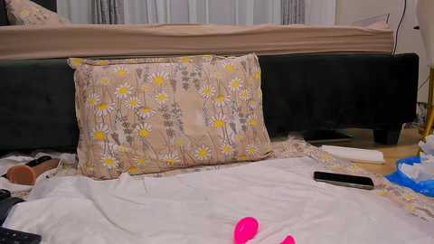 wowsquirt @ chaturbate on 20250303