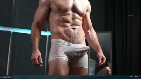 maximus_787