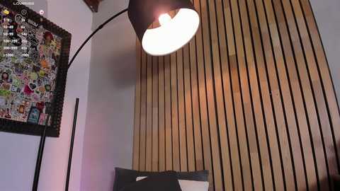 honeyhot69__ @ chaturbate on 20250306