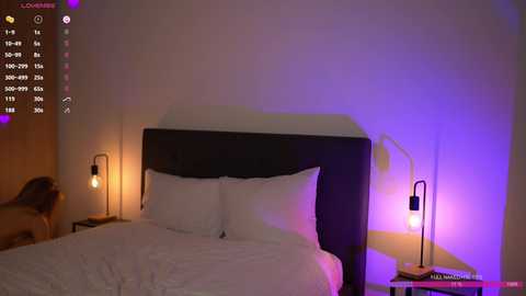 anitaraj_ @ chaturbate on 20250307