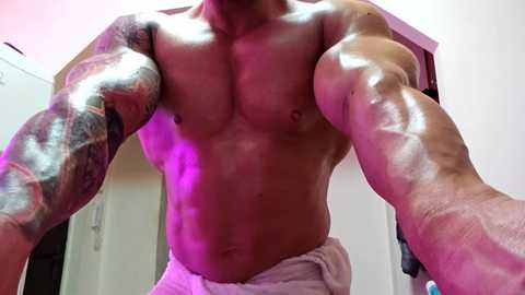 adonis_msc