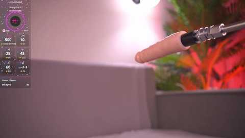 marybrent @ chaturbate on 20250528