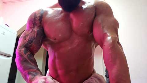 adonis_msc