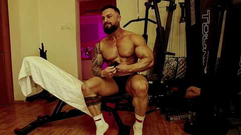 adonis_msc