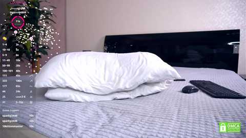 felissiany @ chaturbate on 20250529