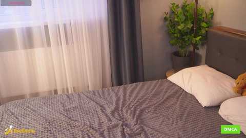 bellacle @ chaturbate on 20250530