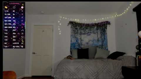 cleo_cam