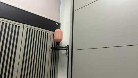 faseremx @ chaturbate on 20250530