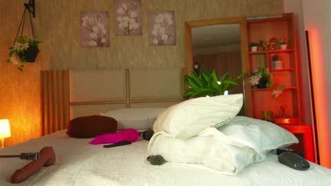 ana_maria11 @ chaturbate on 20250531