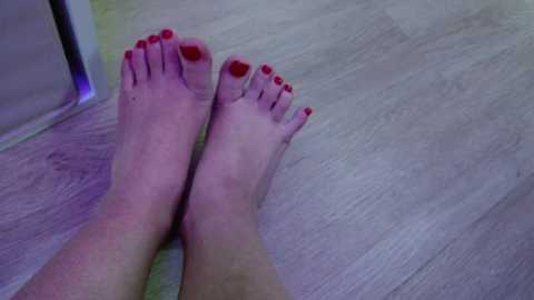 candymini