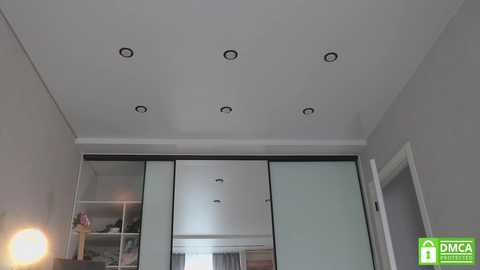 diana_alison @ chaturbate on 20250531