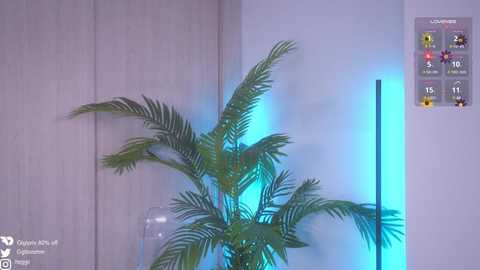 gigi_ulala @ chaturbate on 20250531