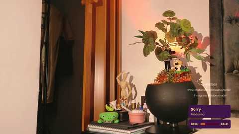 isabeyferrec @ chaturbate on 20250531