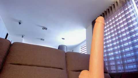 itsbellax @ chaturbate on 20250531