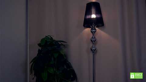 normadownton @ chaturbate on 20250531