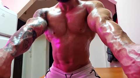 adonis_msc