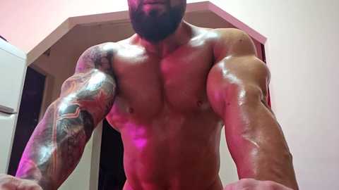 adonis_msc