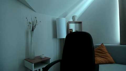 niky_jess @ chaturbate on 20250601