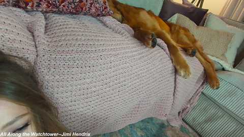 x_lily_x @ chaturbate on 20250601