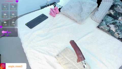 angiee_roses @ chaturbate on 20250602