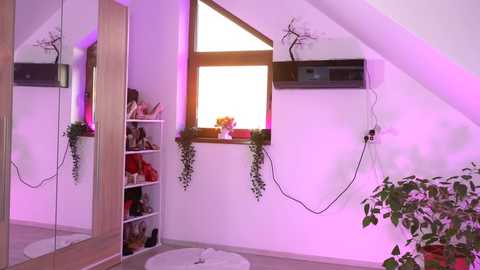 artofboobs @ chaturbate on 20250602