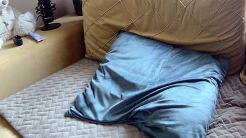 erotic_vibe @ chaturbate on 20250602