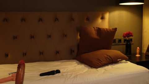 girl_i_am @ chaturbate on 20250602