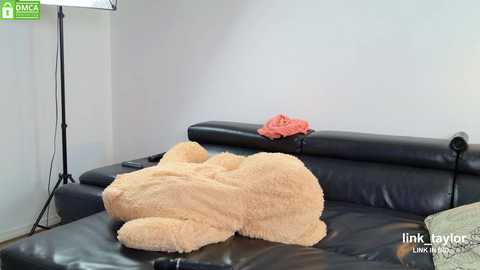 _taylormoon @ chaturbate on 20250603