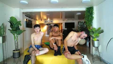 boschcz @ chaturbate on 20250603
