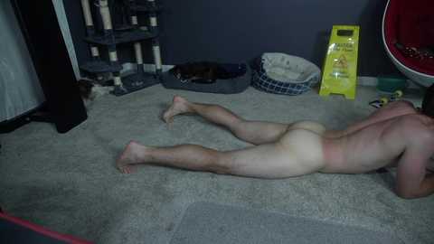 sydaffect @ chaturbate on 20250603