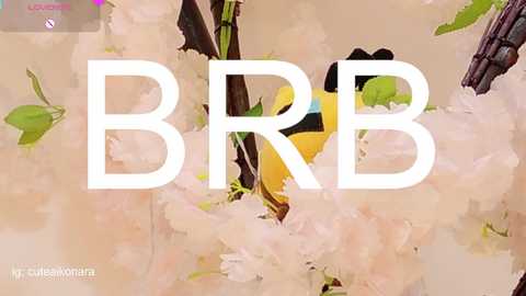 aikonara @ chaturbate on 20250604