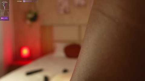 ana_maria11 @ chaturbate on 20250604