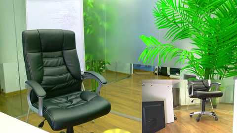 babesgowild @ chaturbate on 20250604