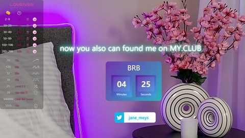 jane_meys @ chaturbate on 20250604