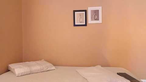 mr_danni_ @ chaturbate on 20250604