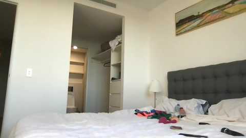 naomirhoades @ chaturbate on 20250604