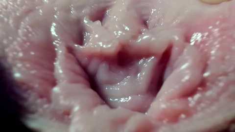 courtney_luv @ chaturbate on 20250605