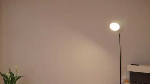 ella_twinkle @ chaturbate on 20250606