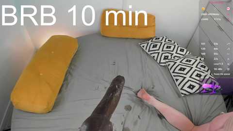 lil_shouty_bitch @ chaturbate on 20250606