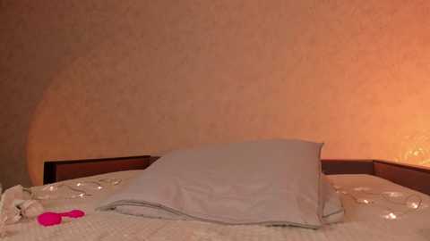 milla_remmy @ chaturbate on 20250606