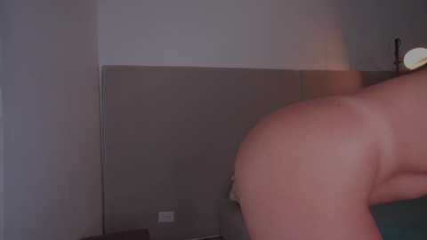 sunnymorrison