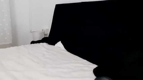 apollobest77 @ chaturbate on 20250609