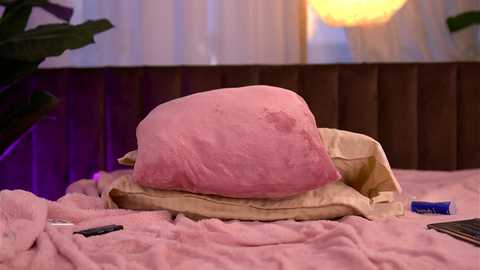 kaylabray @ chaturbate on 20250609