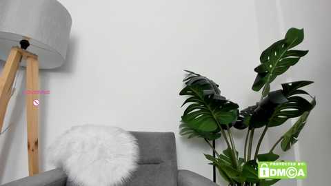 ashllovee_ @ chaturbate on 20250610